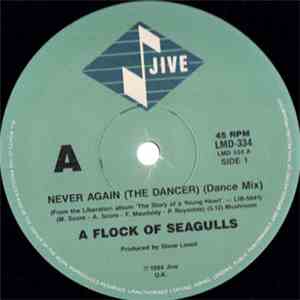 A Flock Of Seagulls - Never Again (The Dancer) download free