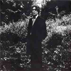 Alain Bashung - L'Imprudence download free
