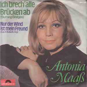 Antonia Maaß - Ich Brech' Alle Brücken Ab (Burning Bridges) download free