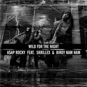 ASAP Rocky Feat. Skrillex & Birdy Nam Nam - Wild for the Night download free
