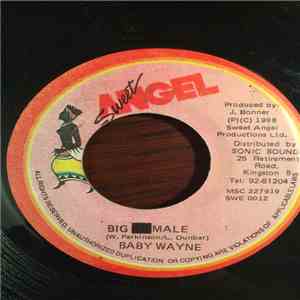Baby Wayne - Big Male download free