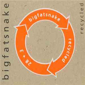 Big Fat Snake - Recycled download free