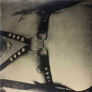 Closet Case - It Doesn't Get Better download free