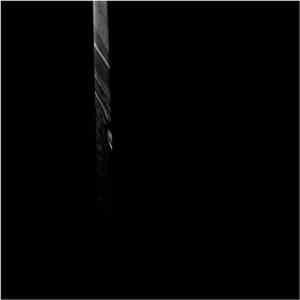 Coppice Halifax - Ĉiunokta Pluvo download free