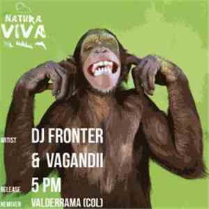 DJ Fronter & Vagandii - 5 PM download free