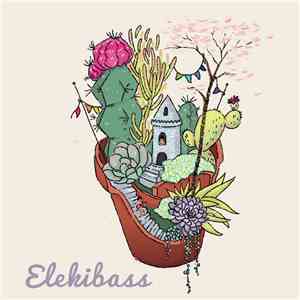 Elekibass - Don't Stop Believe In Music download free