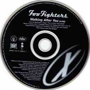 Foo Fighters - Walking After You download free