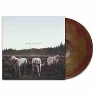 Foxing - The Albatross download free