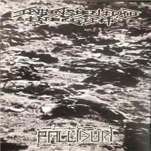 Insensibilidad Enérgica / Pallidum - Insensibilidad Enérgica / Pallidum download free