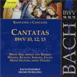 Johann Sebastian Bach - Bach-Ensemble, Helmuth Rilling - Cantatas BWV 10,12,13 download free