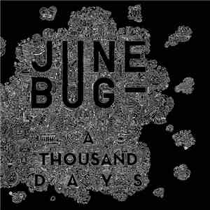 June Bug - A Thousand Days download free