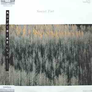 Keiichi Oku - Sunset Tint download free