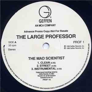 Large Professor - The Mad Scientist download mp3 flac