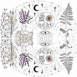 Lavender Child - Reflections download free