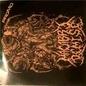 Macabre Demise - Promo download free