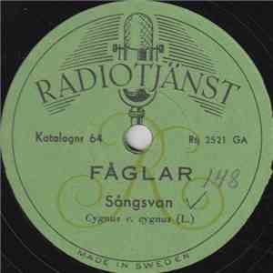 No Artist - Fåglar download free