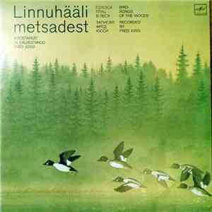 No Artist - Linnuhääli Metsadest download free