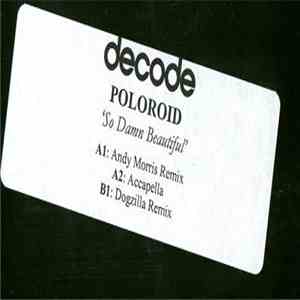 Poloroid - So Damn Beautiful download free