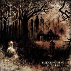 Scáth Na Déithe - Pledge Nothing But Flesh download mp3 flac