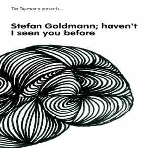 Stefan Goldmann - Haven't I Seen You Before download free