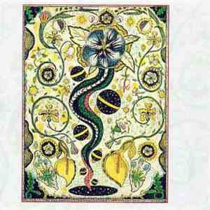 Steve Earle - I Feel Alright download free