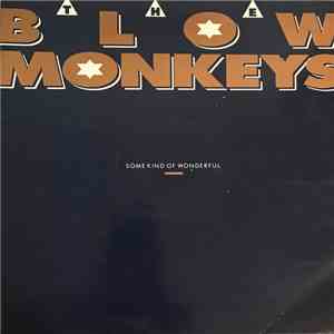 The Blow Monkeys - Some Kind Of Wonderful download free