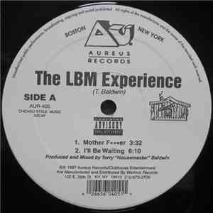 The LBM Experience - Mother Fer download free
