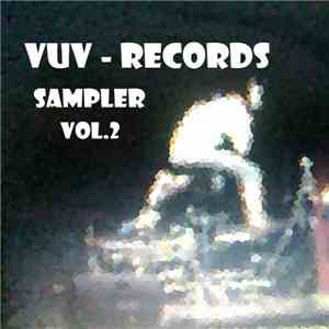 The Skogsbangers, Popofobic, PTON, Spaceman 37, Steve & Thunder, DB International, The Crazymen - Vuv Records Sampler Vol.2 download free