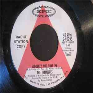 The Tremeloes - Suddenly You Love Me / Suddenly Winter download free