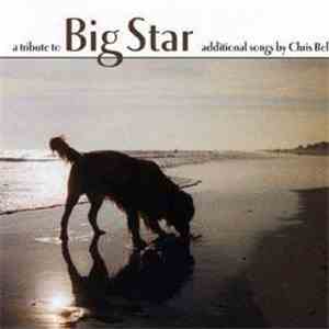 Various - A Tribute To Big Star (additional songs by Chris Bell) download mp3 flac